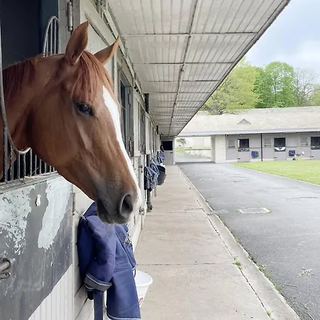Paddock Prestige By La Boite En
