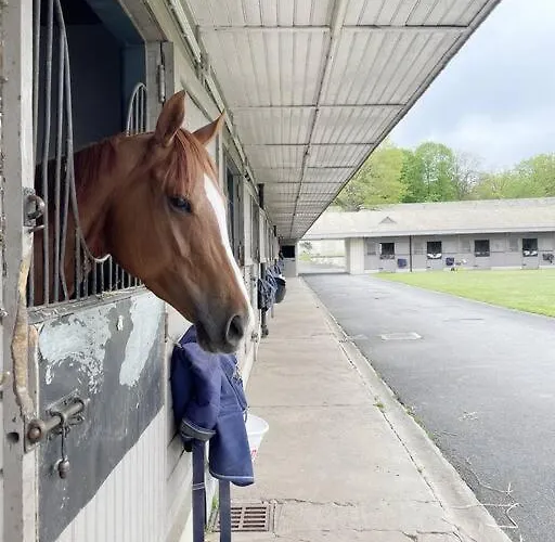 Paddock Prestige By La Boite En Lägenhet *